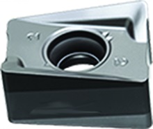 ANGX-gm.ybm ANGX 110508PNR-GM YBD252